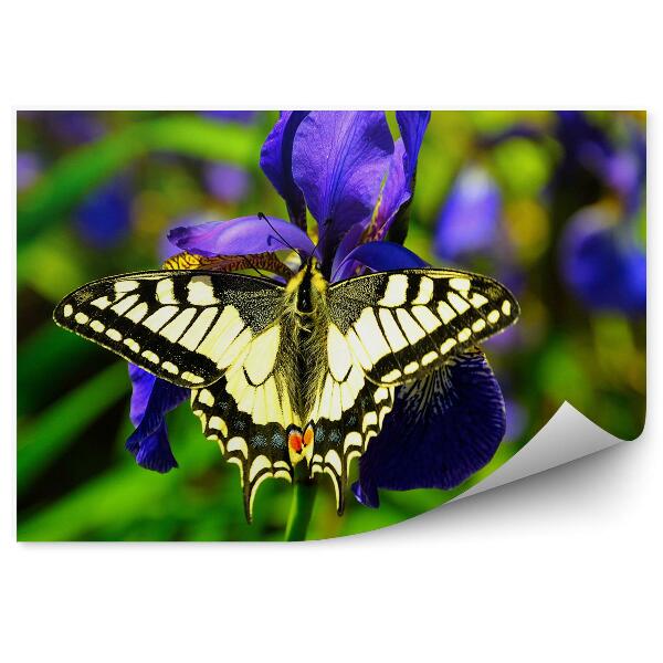 Papier peint Iris pourpre papillon monarque fond vert