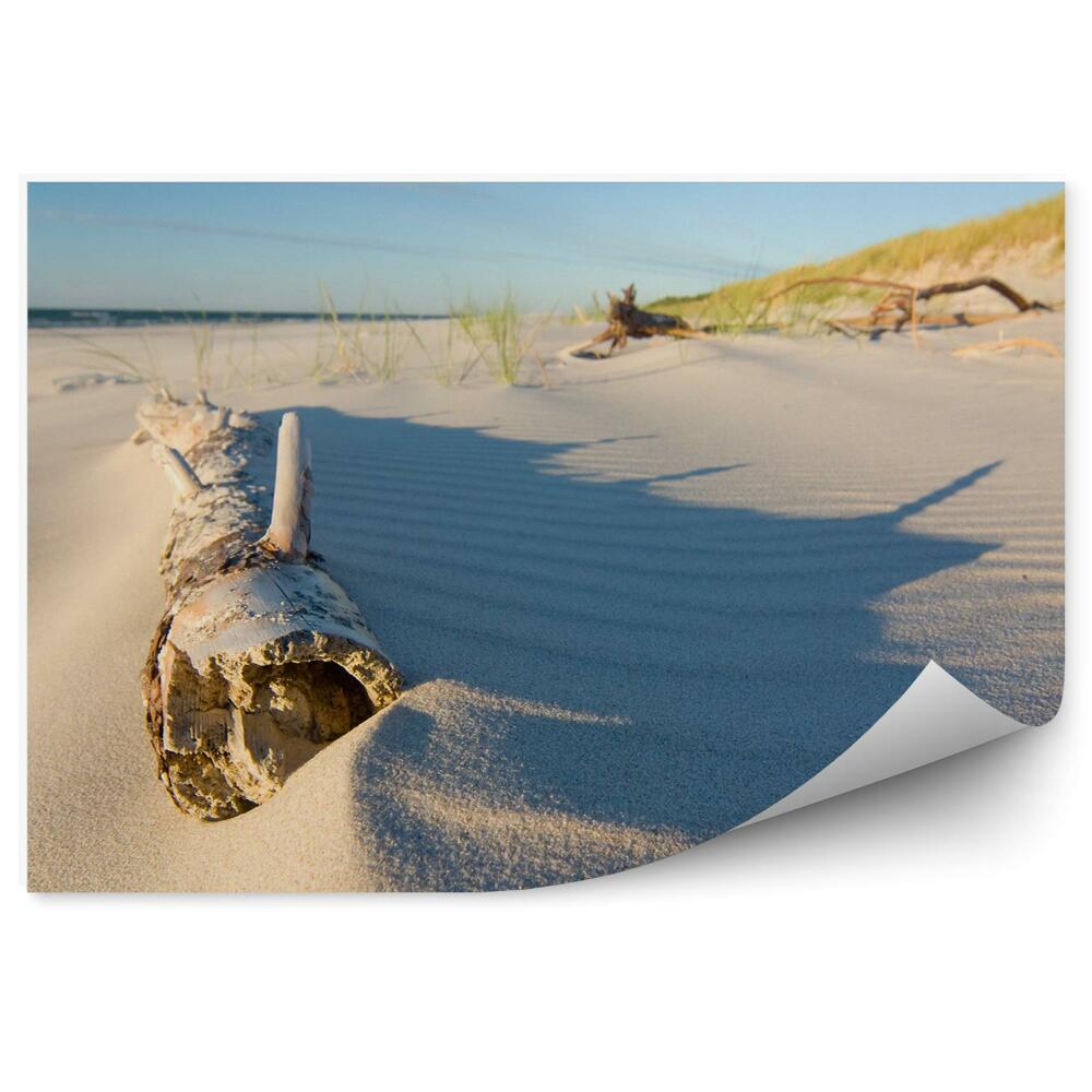 Papier peint Plage Arbre Herbe