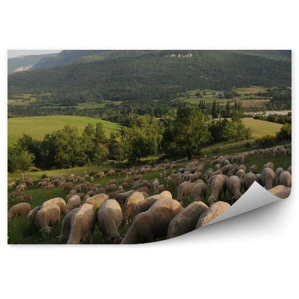 Papier peint Montagnes Arbres Moutons verts Provence France