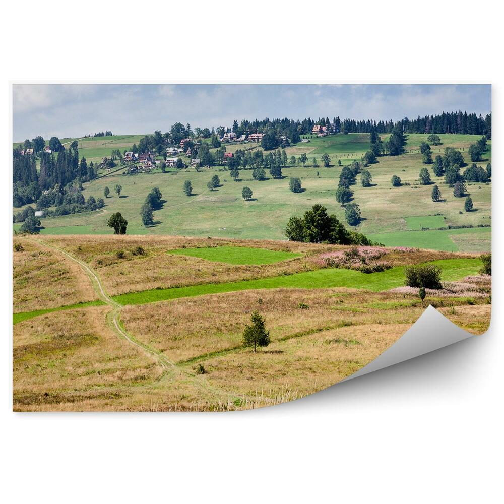 Papier peint Chemin de prairie Arbres Plantes Campagne