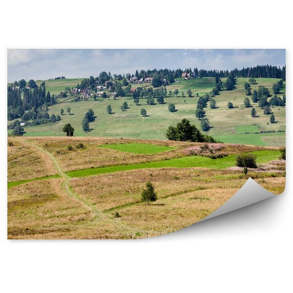 Papier peint Chemin de prairie Arbres Plantes Campagne