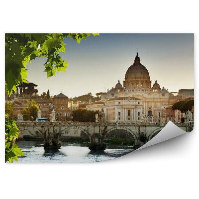 Papier peint Lierre Basilique Saint-Pierre Pont Fleuve Rome