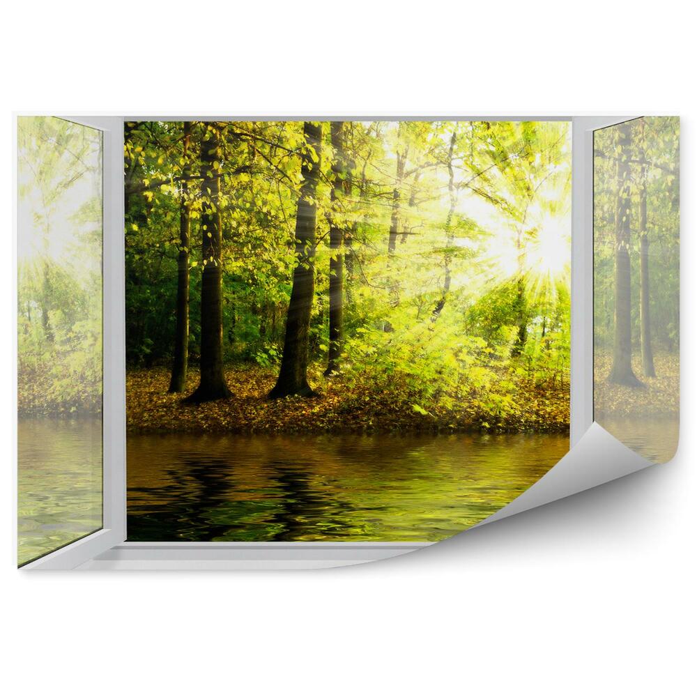 Papier peint Vue d'une fenêtre ouverte sur une rivière et une forêt