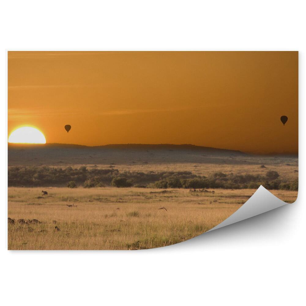 Papier peint Cheetahs africa ballons soleil herbe