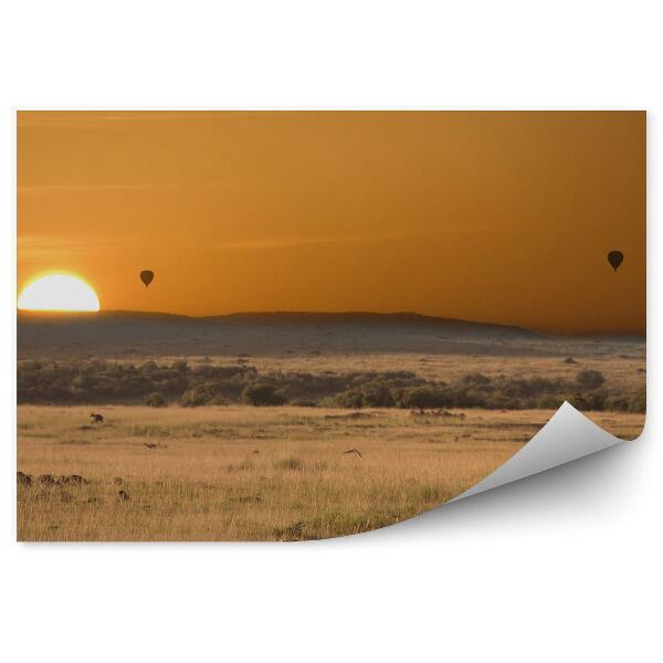 Papier peint Cheetahs africa ballons soleil herbe