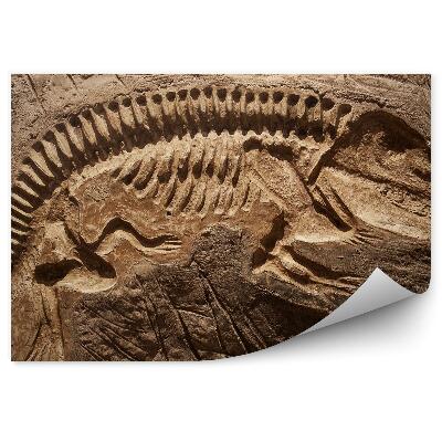 Papier peint Reflet D'un Squelette De Dinosaure