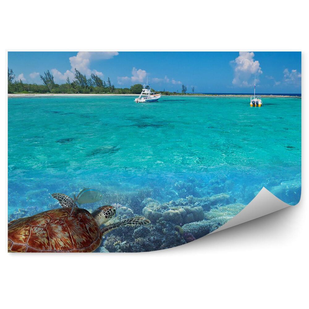 Papier peint Nature Caraïbes tortue de mer poisson eau bleue