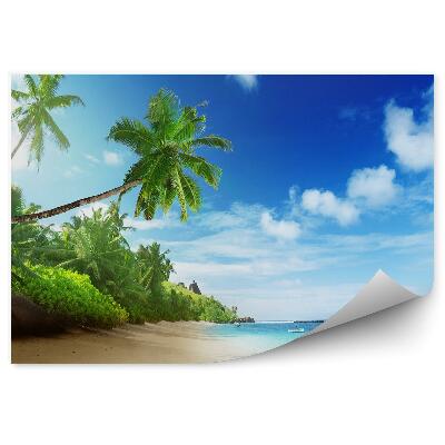 Papier peint Plage Palmiers Océan Ciel Nuages Seychelles