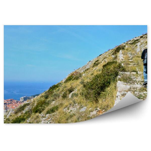 Papier peint Rochers Herbe Homme Forteresse Dubrovnik Croatie Mer