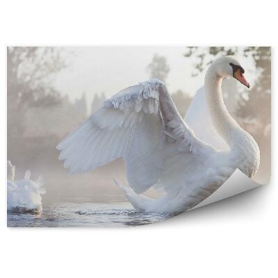 Papier peint Cygne Étirant Ses Ailes Sur Un Lac Brumeux