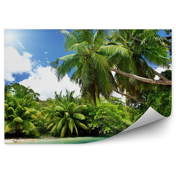Papier peint Océan Palmiers Arbres Ciel Nuages Seychelles