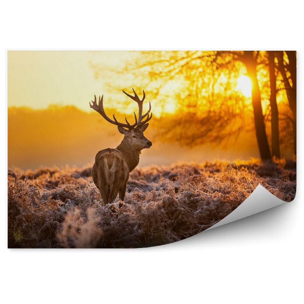Tapisserie panoramique Cerf dans le soleil du matin