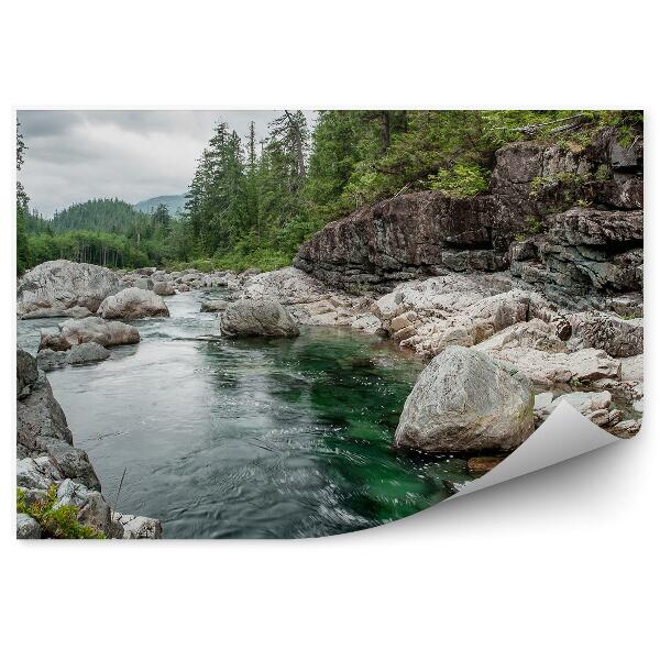 Papier peint Île boisée verte Rochers Rivière