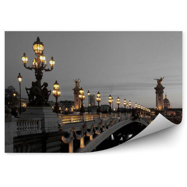 Papier peint panoramique Pont Alexandre II Paris France