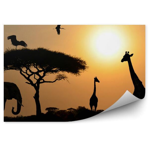 Papier peint Girafes Éléphants Oiseaux Arbres Coucher de soleil