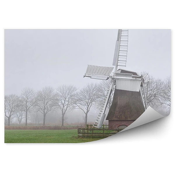 Papier peint Pays-Bas Moulin À Vent Arbres Herbe Verte Rivière Brume Matinale