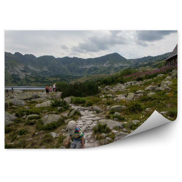 Papier peint Tatra Mountains Trees Chalet Sky Clouds