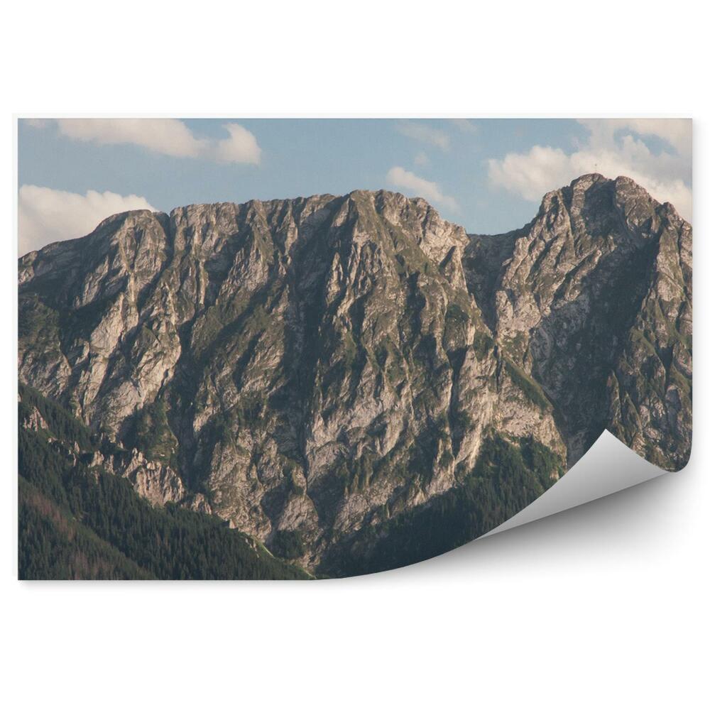 Papier peint Tatras Sea Eye Mountains Trees Clouds
