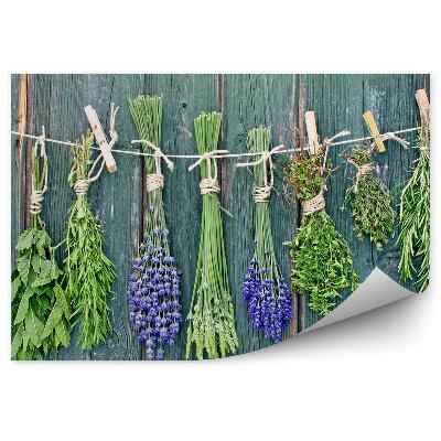 Tapisserie panoramique Herbes fraîches cordes pinces à linge bois