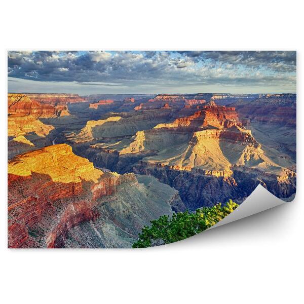 Papier peint Rayons du matin dans le grand canyon