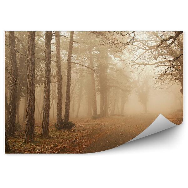 Papier peint Feuilles D'un Sentier Forestier Brumeux