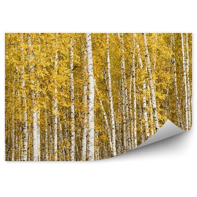 Papier peint Feuilles Jaunes Bouleau Forêt D'automne Arbres