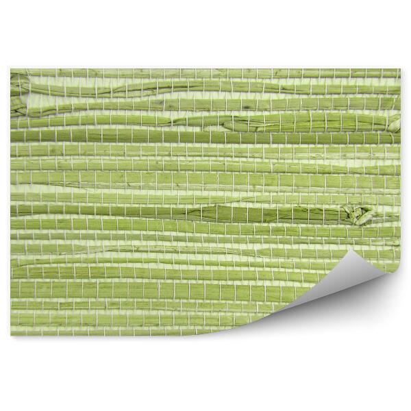 Papier peint Motif de texture herbe bambou rayures vertes