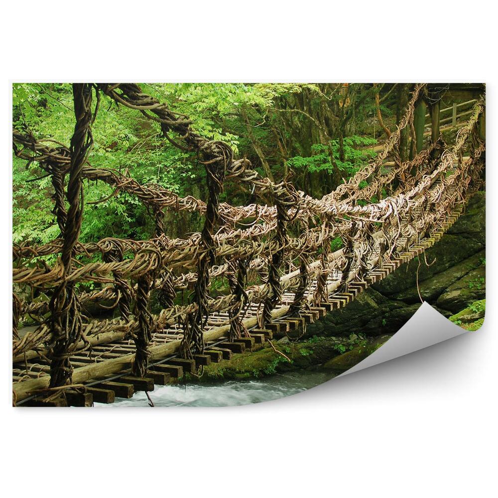 Papier peint Pont en bois au-dessus d'une forêt fluviale