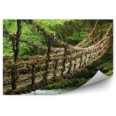 Papier peint Pont en bois au-dessus d'une forêt fluviale