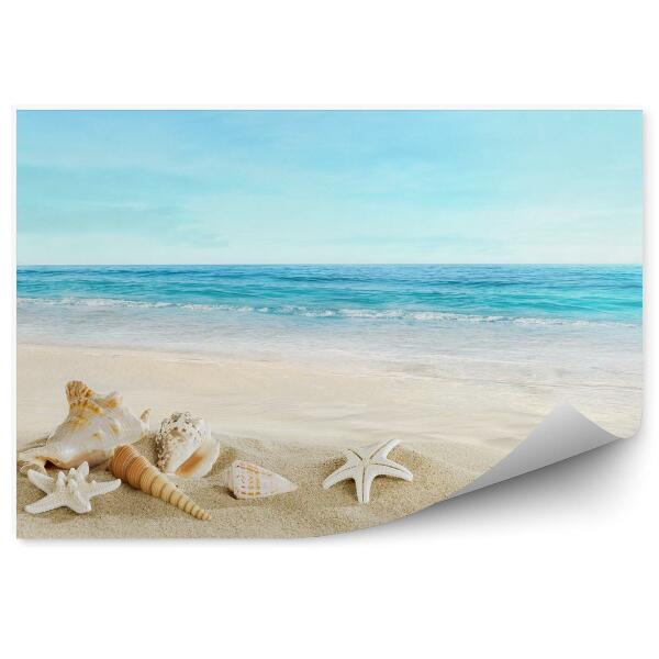 Papier peint Paysage de coquillages sur une plage tropicale