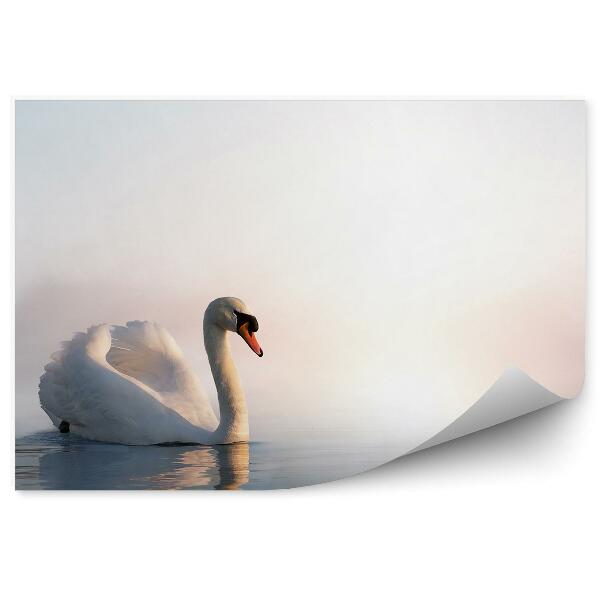 Papier peint Cygne Sur L'eau Au Lever Du Soleil