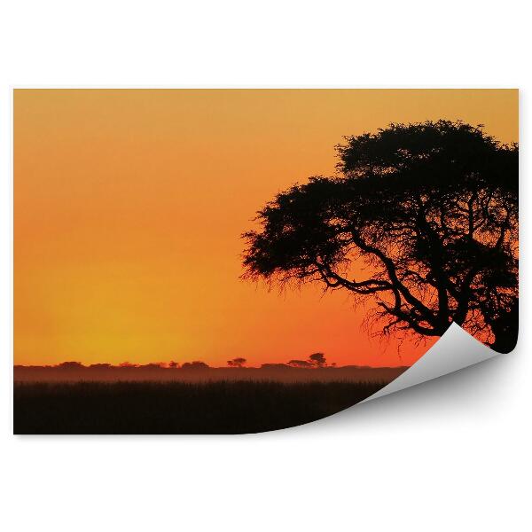 Papier peint Coucher de soleil plaines africaines ombres