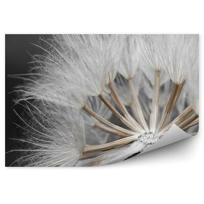 Papier peint Graines de souffleur