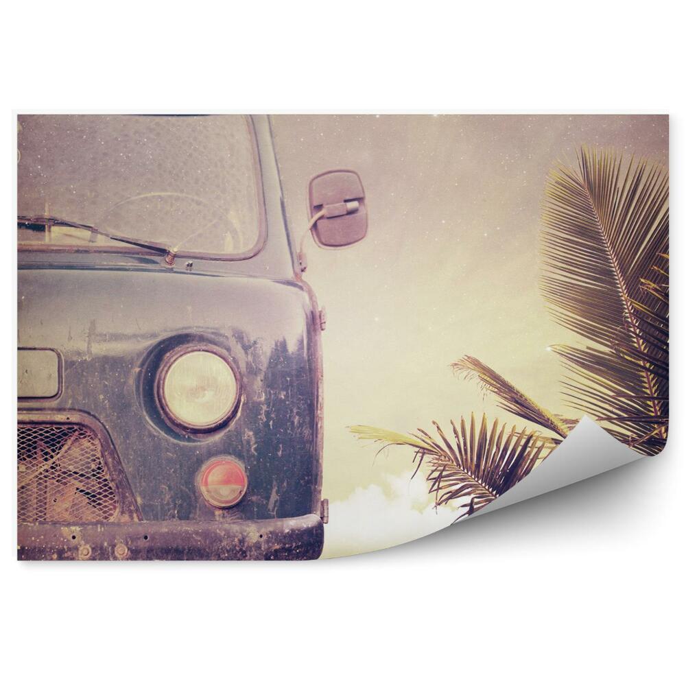 Papier peint Vieille voiture palm beach