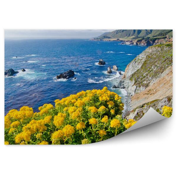 Papier peint Fleurs Plantes Océan Montagnes Ciel Nuages Californie Los Angeles