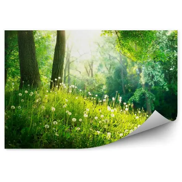 Tapisserie murale Beau paysage de printemps. Herbe verte et arbres