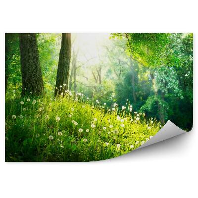 Tapisserie murale Beau paysage de printemps. Herbe verte et arbres