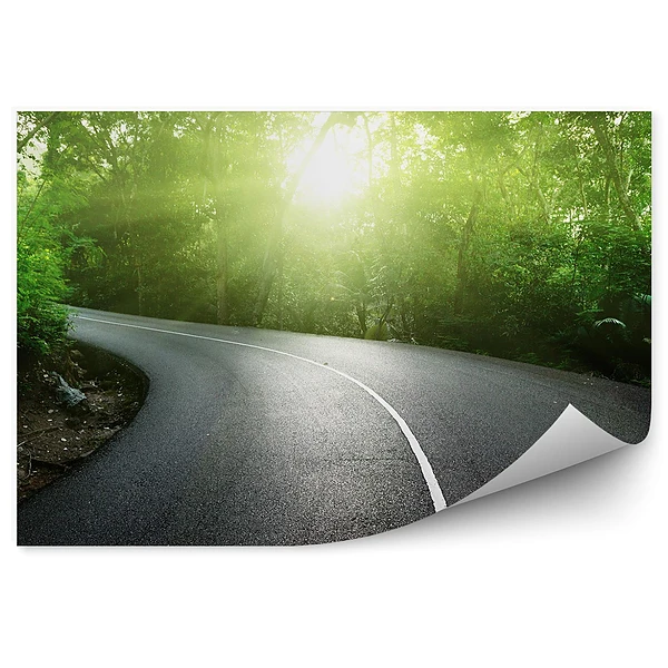 Papier peint Route vide Jungle Arbres Plantes Seychelles