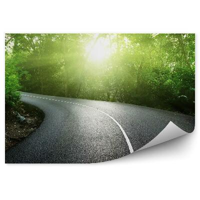 Papier peint Route vide Jungle Arbres Plantes Seychelles