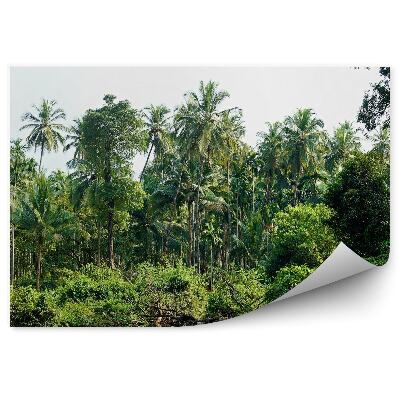 Papier peint Palmiers sur un lac de jungle