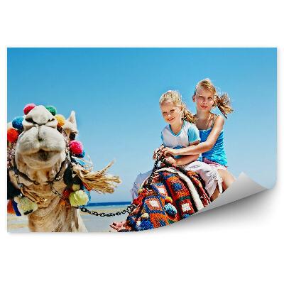Papier peint Enfants touristes sur un chameau