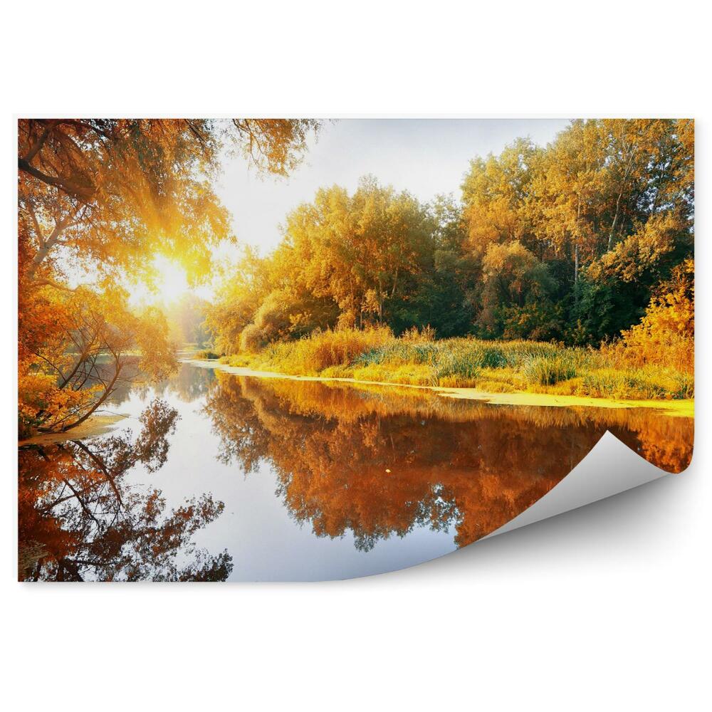 Papier peint Rivière dans la forêt en automne