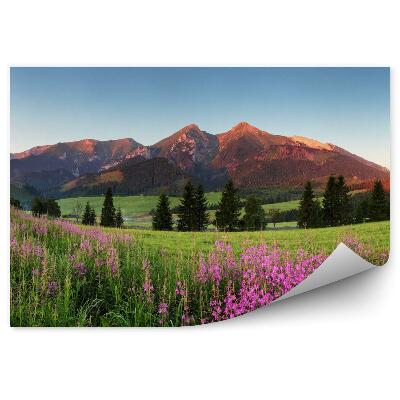 Papier peint panoramique Panorama coucher de soleil