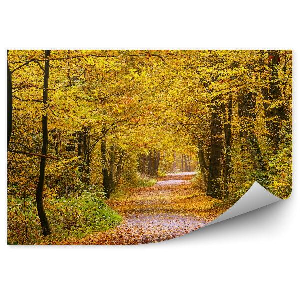 Papier peint Forêt d'automne Chemin de feuilles jaunes