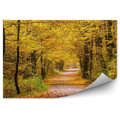 Papier peint Forêt d'automne Chemin de feuilles jaunes