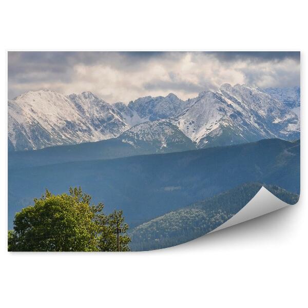 Papier peint Tatra Montagnes Neige Tatra Arbres Forêt Ciel Nuages