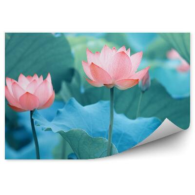 Papier peint Nénuphars et feuilles bleues