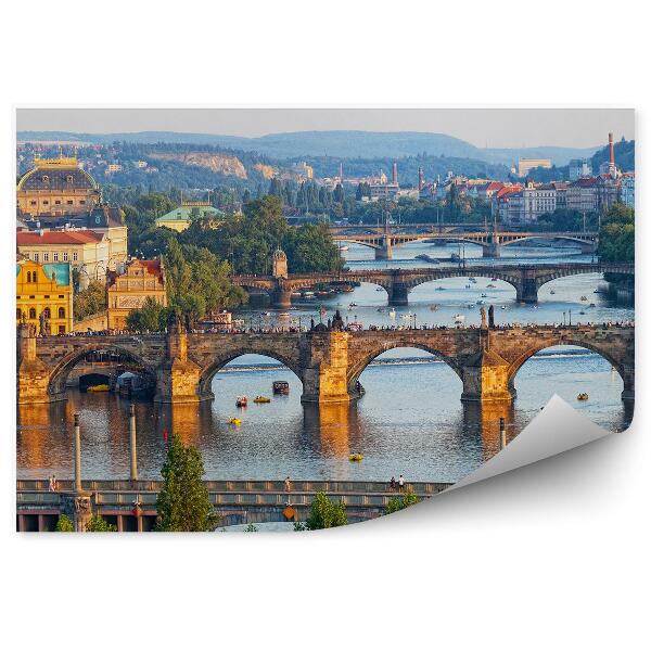 Papier peint Ponts de la Vltava vue à vol d'oiseau touristes