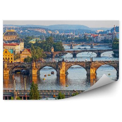 Papier peint Ponts de la Vltava vue à vol d'oiseau touristes