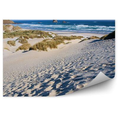 Papier peint Dunes De Plage Montagnes Plantes Océan Ciel Nuages